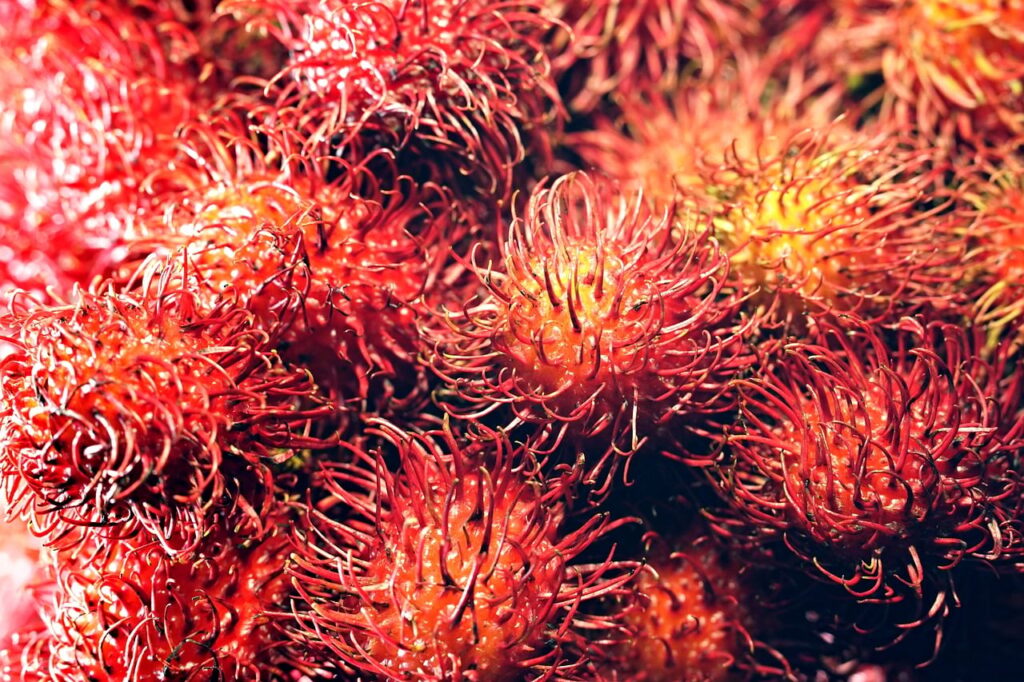 Quel fruit en E? Liste complète et surprenante