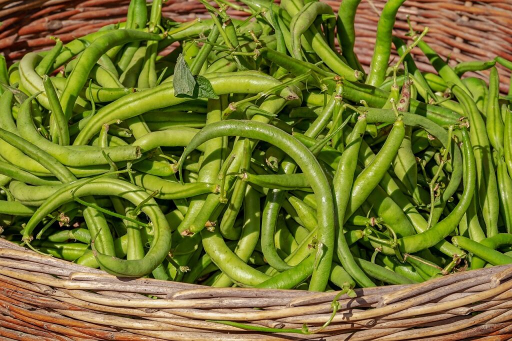 Temps de cuisson haricots verts: croquants à souhait
